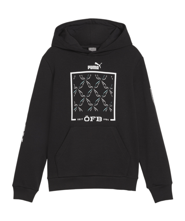 PUMA Österreich Ftbl Icons Hoody Kids Schwarz F08 - schwarz
