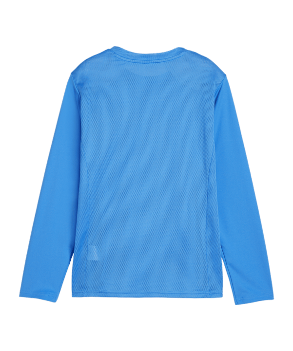 PUMA teamGOAL Trikot Langarm Kids Blau Weiss F02 - blau