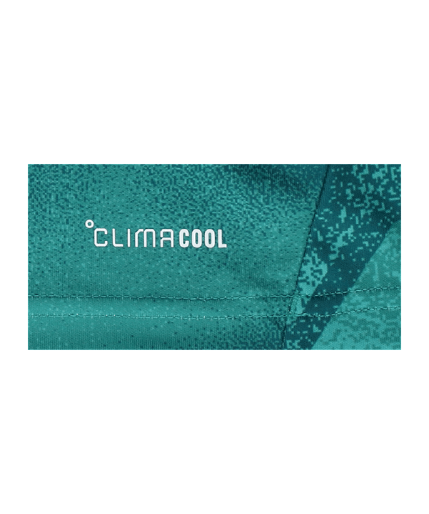 adidas DFB Deutschland Torwarttrikot Langarm Home WM 2026 Grün - gruen