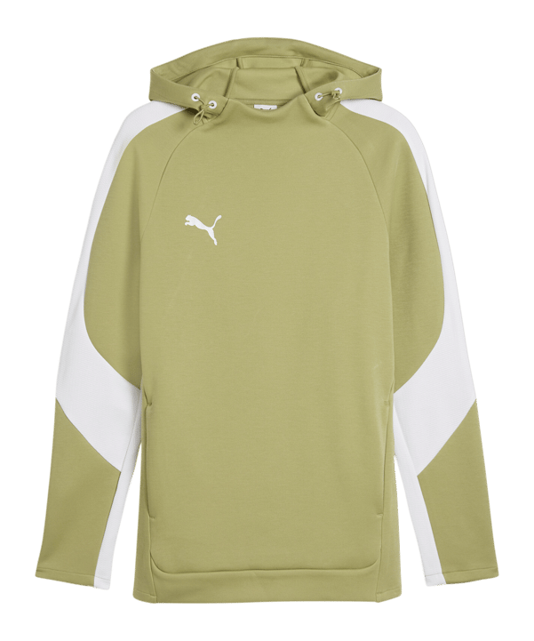 PUMA teamEvostripe Hoody Grün F40 - gruen