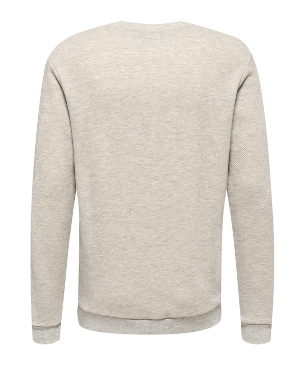 Hummel hmlLGC AUSTIN Sweatshirt Beige F2188 - grau