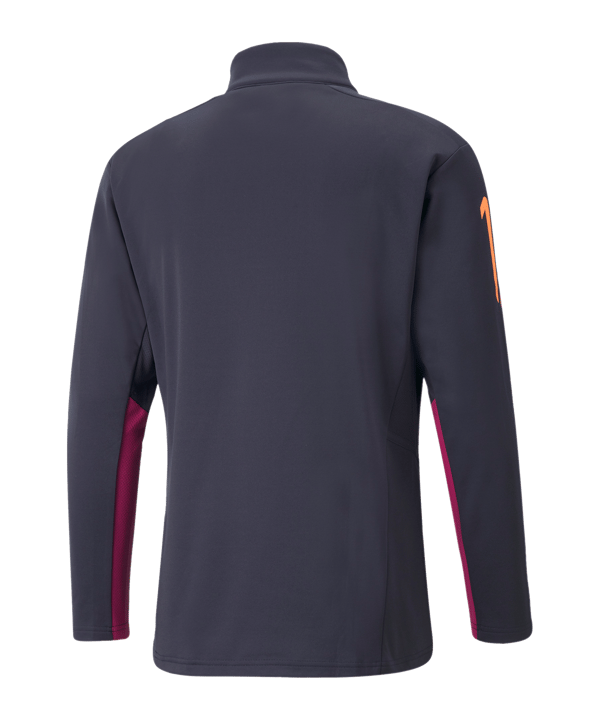 PUMA Neymar Jr. Flare HalfZip Sweatshirt Kids F09 - blau