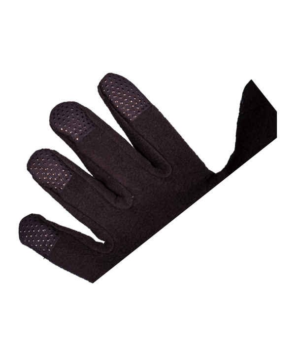 PUMA teamLIGA 21 Gloves Handschuhe Schwarz F01 - schwarz