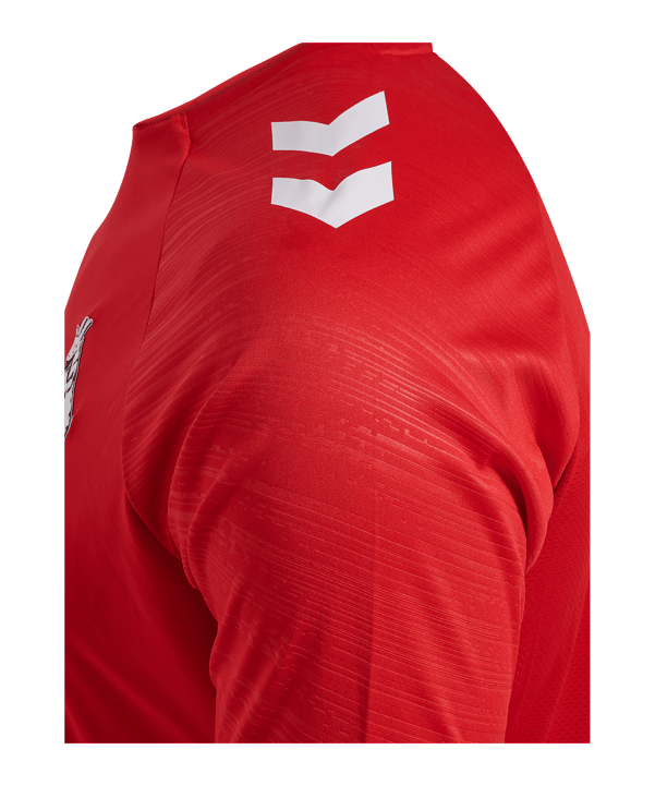 Hummel 1. FC Köln Pro Trainingsshirt Rot F3062 - rot