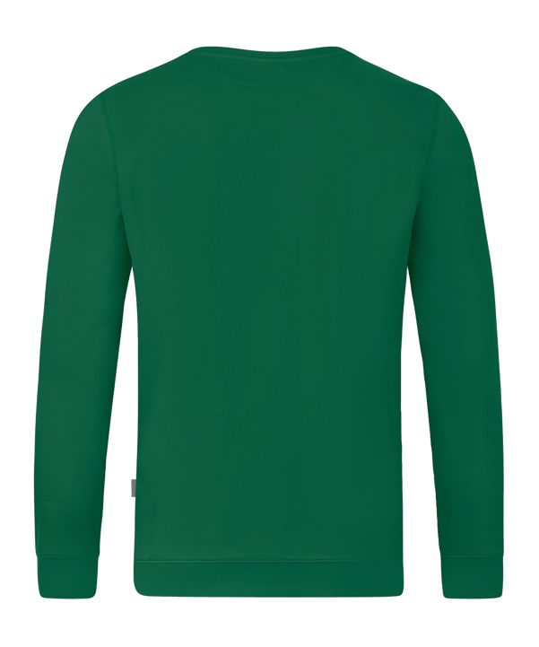 JAKO Doubletex Sweatshirt Grün F260 - gruen