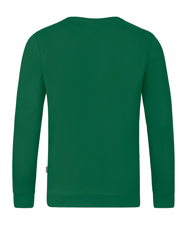JAKO Doubletex Sweatshirt Grün F260 - gruen