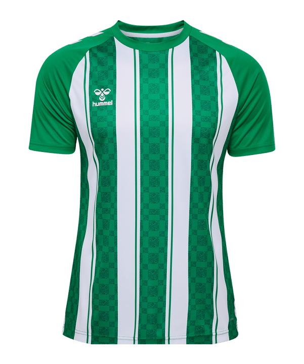 Hummel Match Striped Trikot Grün F6129 - gruen
