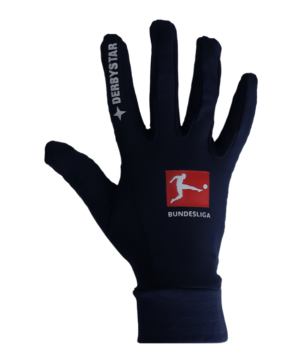 Derbystar Spielerhandschuhe v21 Blau Kids F21 - blau