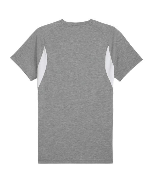 PUMA teamEVOSTRIPE T-Shirt Grau F33 - grau
