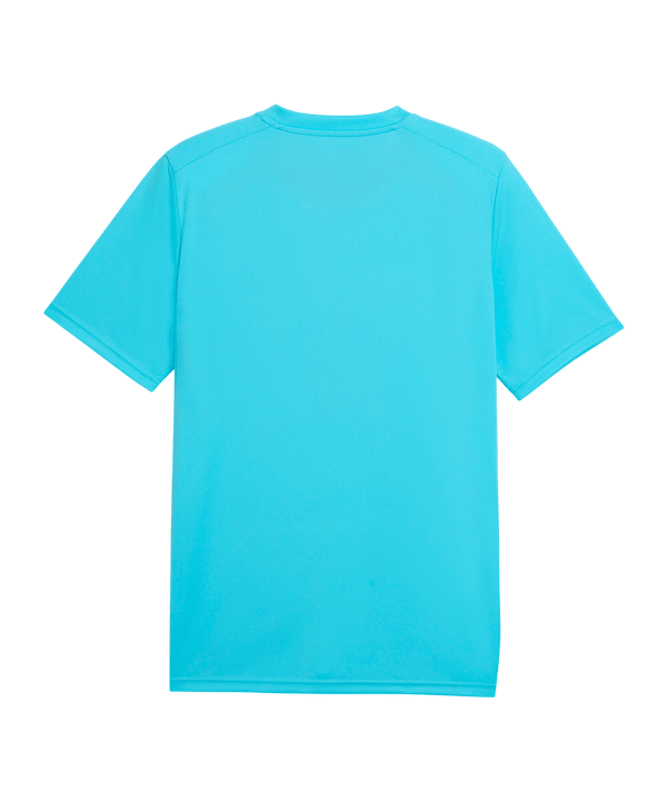 PUMA teamLIGA26 Schiedsrichtertrikot Blau F30 - blau