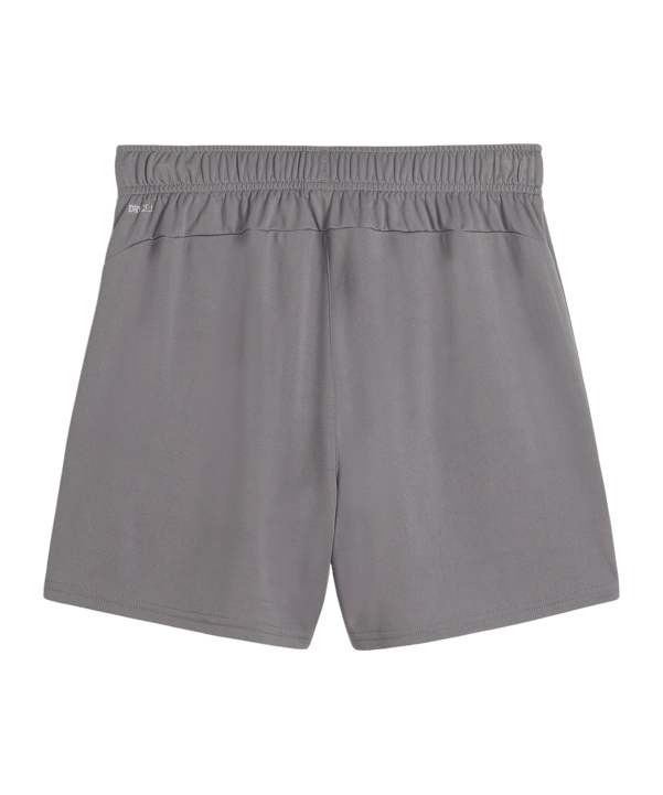 PUMA teamGOAL Short Damen Grau F13 - grau
