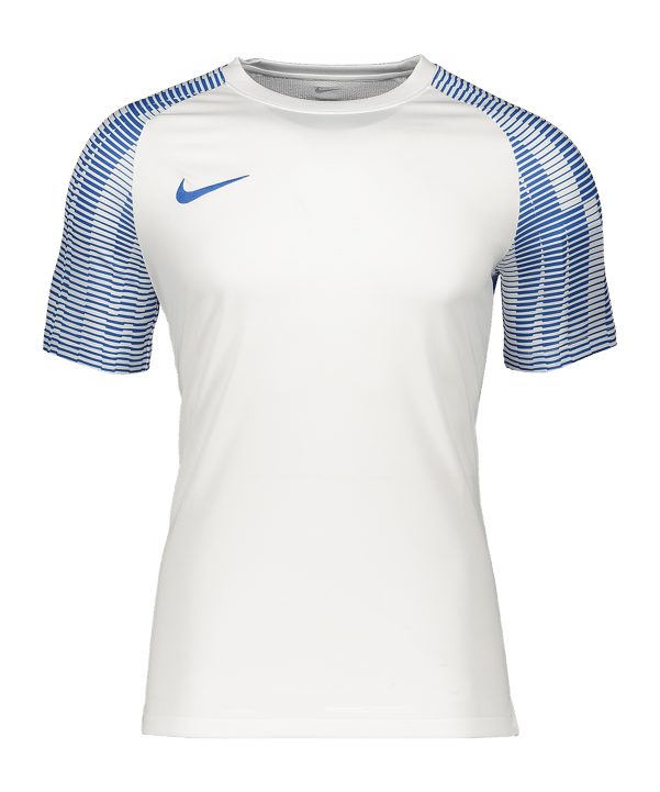 Nike Academy Trikot Kids Weiss Blau F102 - weiss