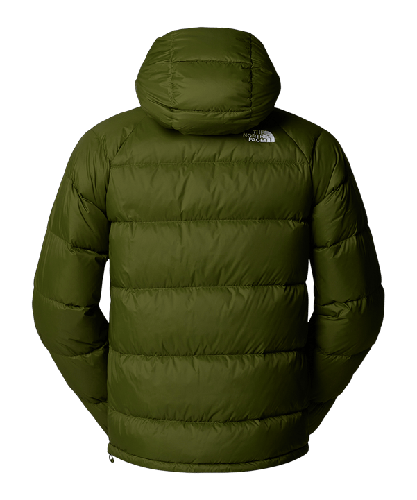 The North Face Hydrenalite Down Winterjacke Grün - gruen