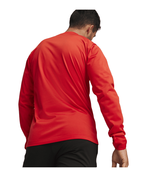 PUMA teamGOAL Training Sweatshirt Rot F01 - rot