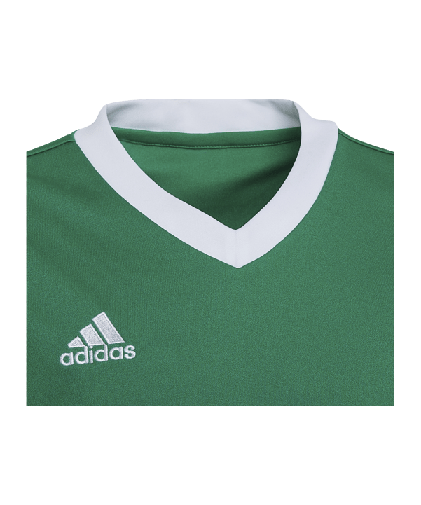 adidas Entrada 22 Trikot Kids Grün - gruen