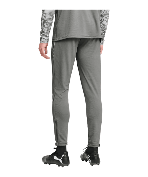 PUMA teamCUP Trainingshose Grau F13 - grau