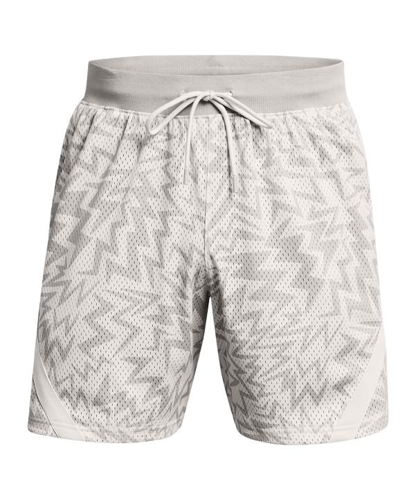 Under Armour Curry Mesh Short 2 Grün - grau