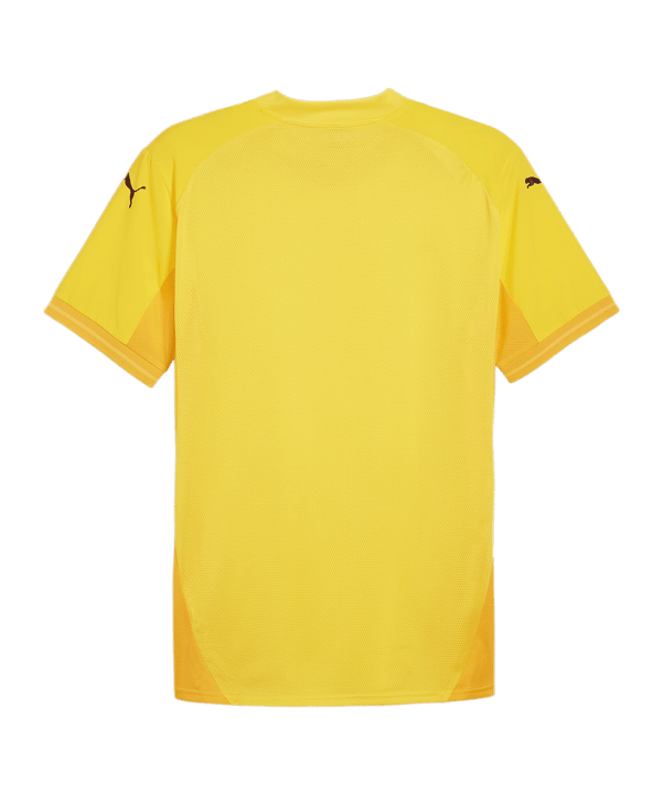 PUMA teamFINAL Trikot Gelb Schwarz Gelb F07 - gelb