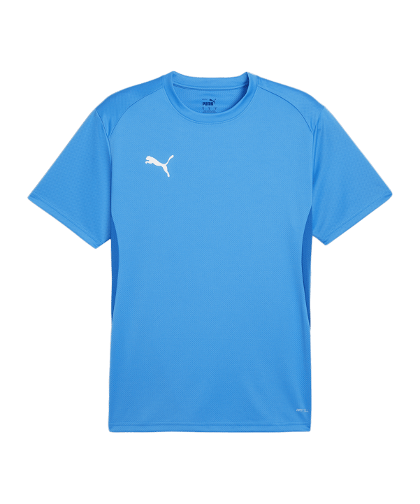 PUMA teamGOAL Trikot Blau F02 - hellblau