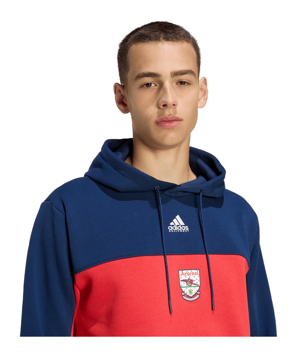 adidas FC Arsenal London 92-94 Hoody Rot - rot