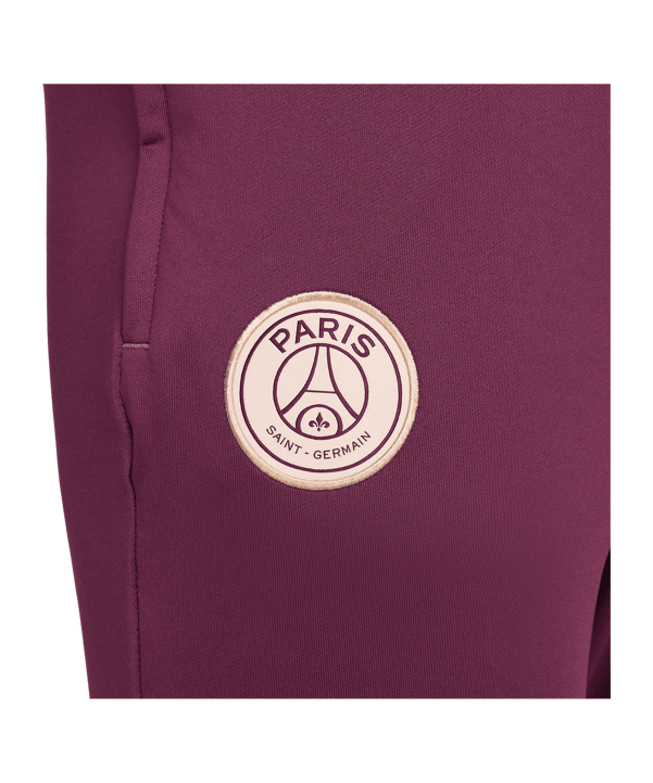 Nike Paris St. Germain Trainingshose Rot F610 - rot
