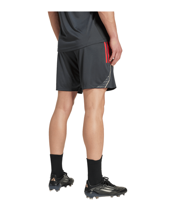 adidas Olympique Lyon Training Short Grau - grau