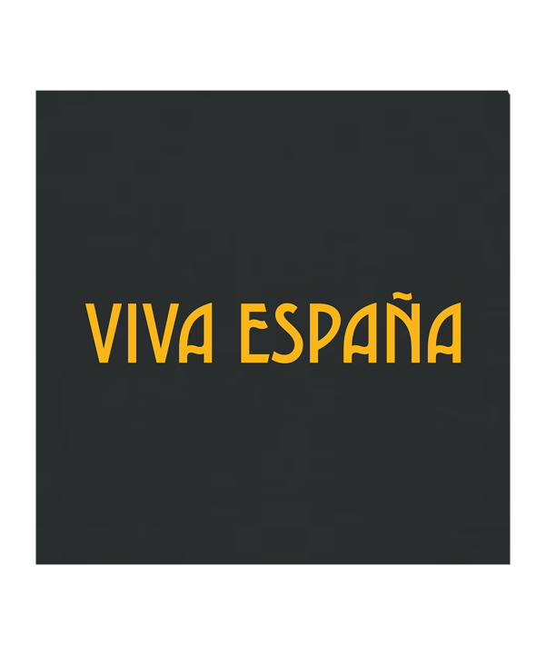 11teamsports "VIVA ESPANA" T-Shirt WM 2026 Schwarz