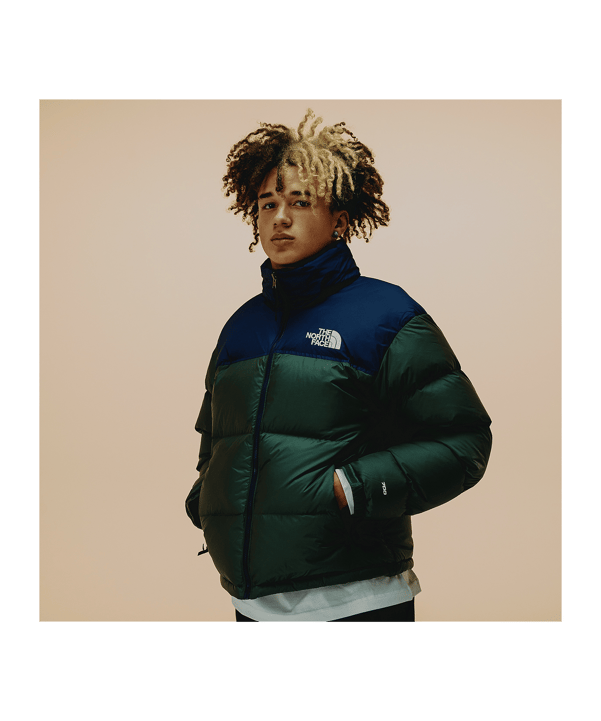 The North Face 1996 Retro Jacke Grün - gruen