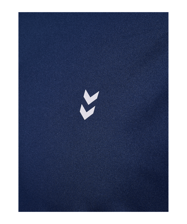 Hummel Trainingsshirt Blau F7459 - blau