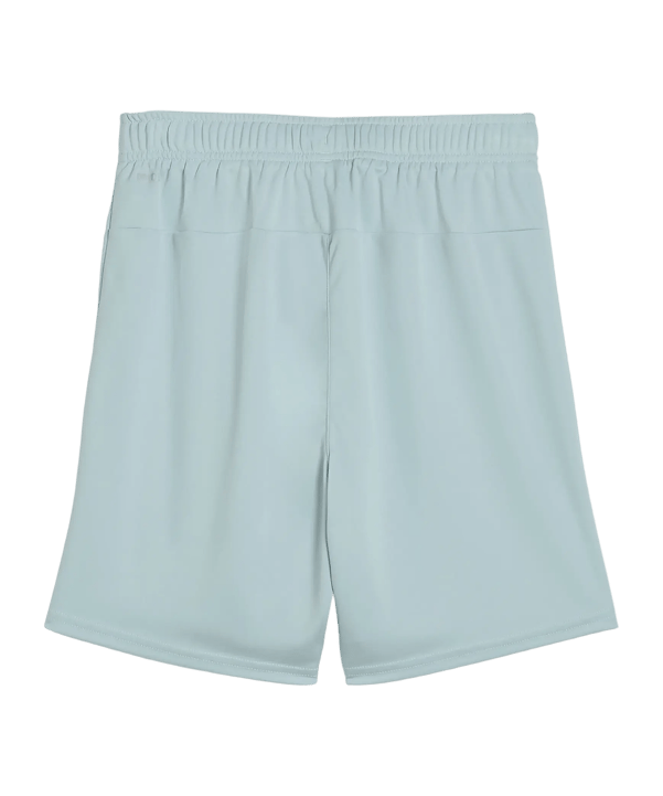 PUMA teamGOAL Korte broek Kids Groen K41 - groen