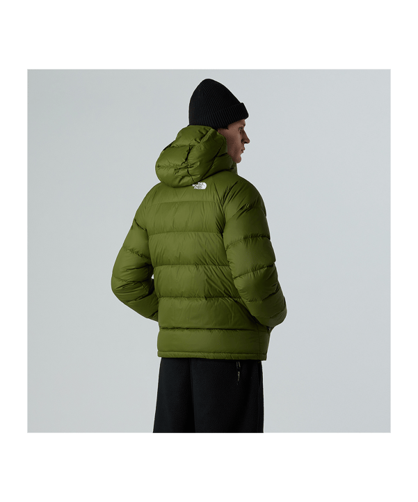 The North Face Hydrenalite Down Winterjacke Grün - gruen