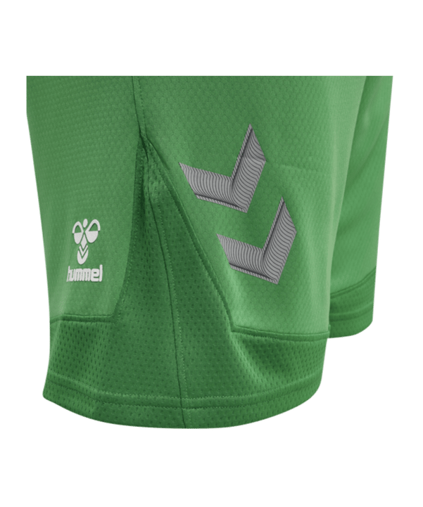 Hummel hmlLEAD Poly Short Rot F6235 - gruen