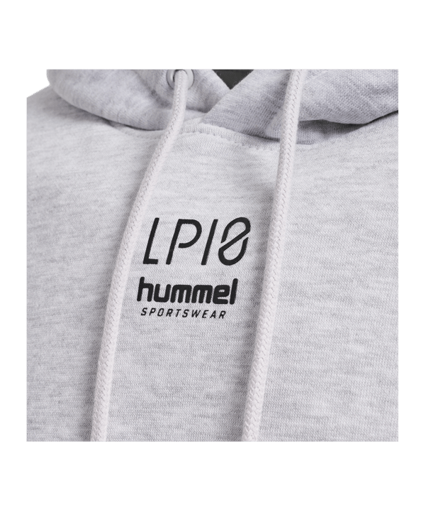Hummel hmlLP10 Boxy Hoody Grau F2010 - grau