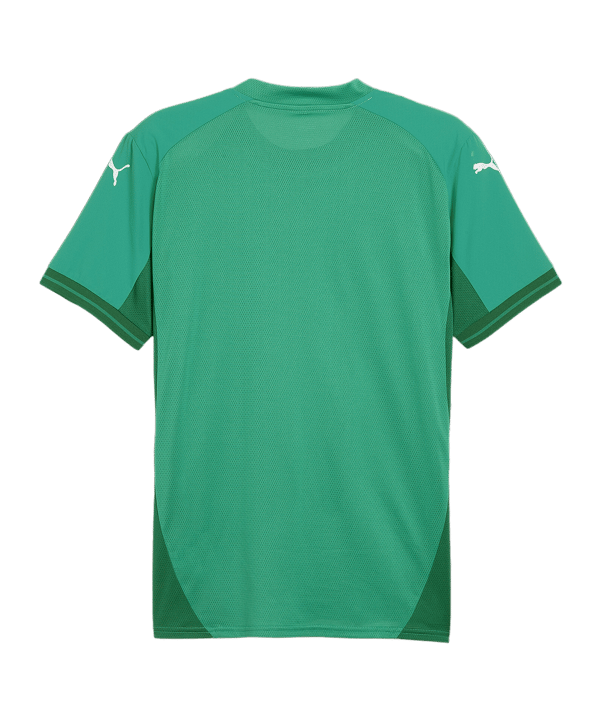 PUMA teamFINAL Trikot Grün Weiss Grün F05 - gruen