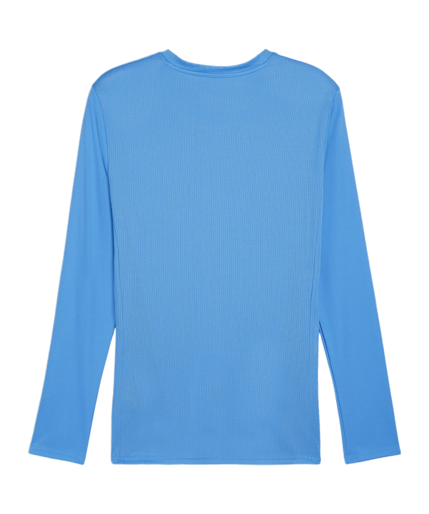 PUMA teamGOAL Trikot Langarm Blau Weiss F02 - blau