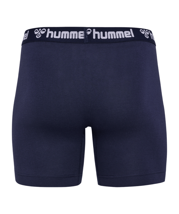 Hummel 2-Pack underwear Shorts blu F7026 - blu