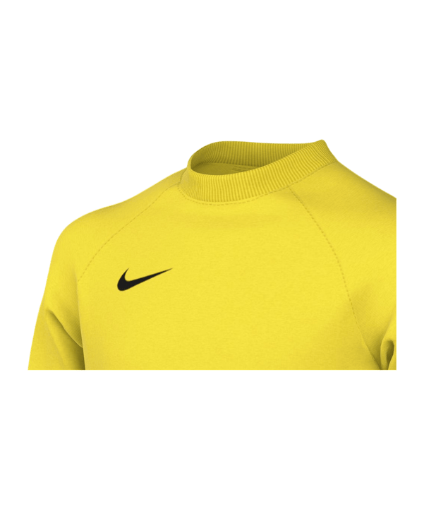 Nike Park V Trikot langarm Kids Gelb F718 - gelb