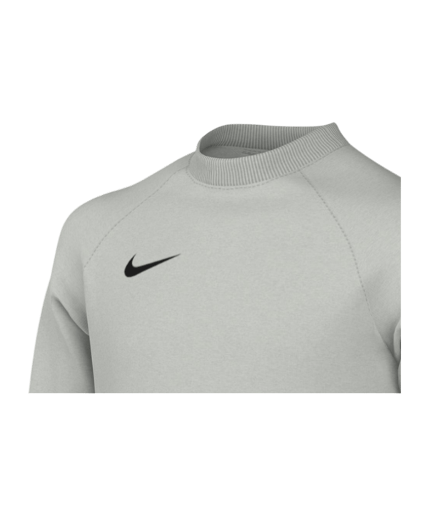Nike Park V Trikot langarm Kids Grau F097 - grau