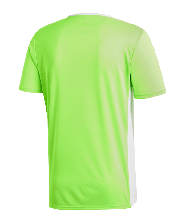 adidas Entrada 18 Trikot kurzarm Grün Weiss - gruen