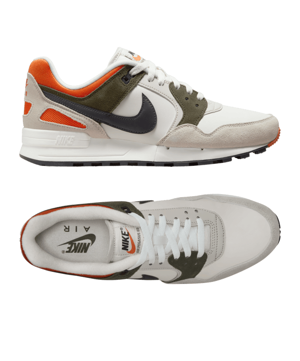 Nike Air Pegasus 89 Grau F001 - grau