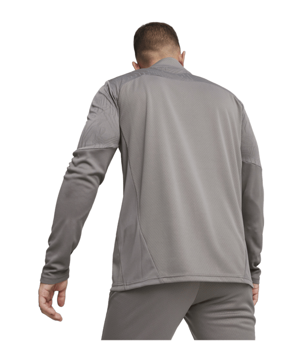 PUMA teamFINAL Training 1/4 Zip Sweatshirt F13 - grau