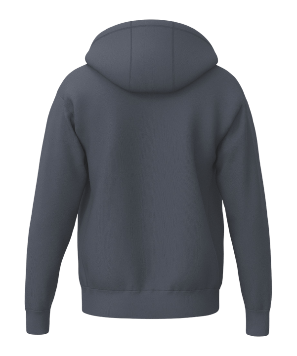 Erima TS Kapuzenjacke Grau - grau