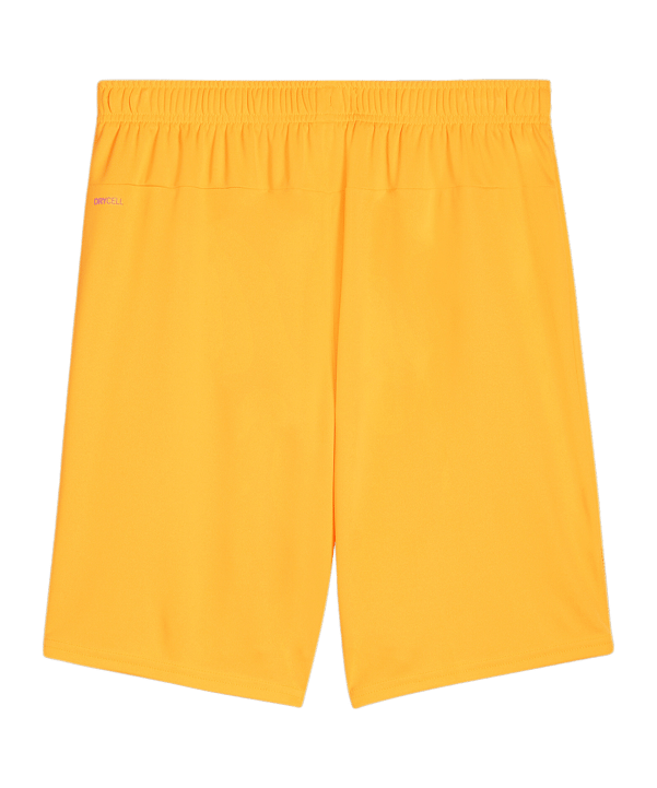 PUMA teamGOAL Short Orange Schwarz F61 - orange