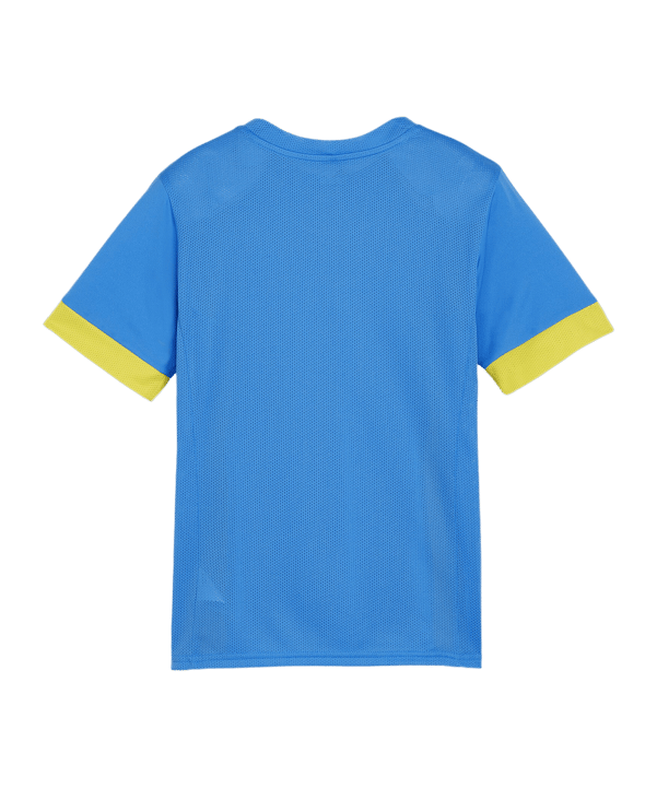 PUMA teamGOAL Matchday Trikot Kids Blau Gelb F16 - blau
