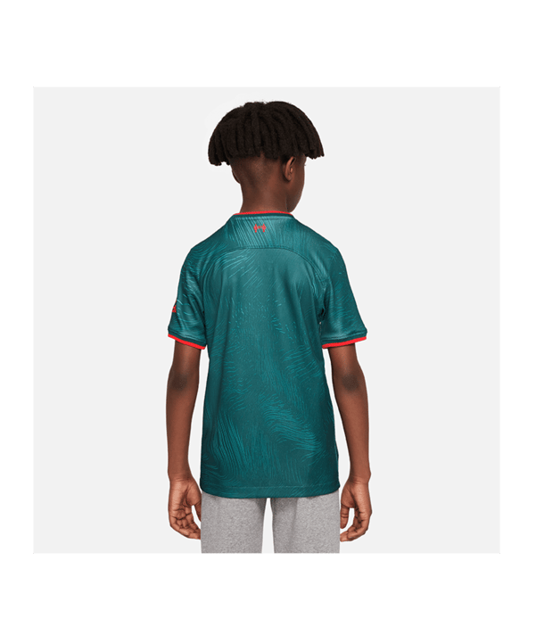 Nike FC Liverpool Trikot UCL 2022/2023 Kids Grün F377 - gruen