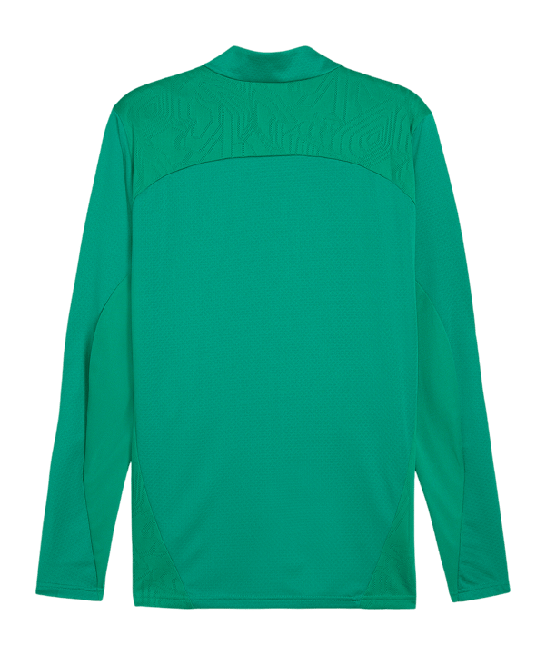 PUMA teamFINAL Trainingsjacke Grün F05 - gruen