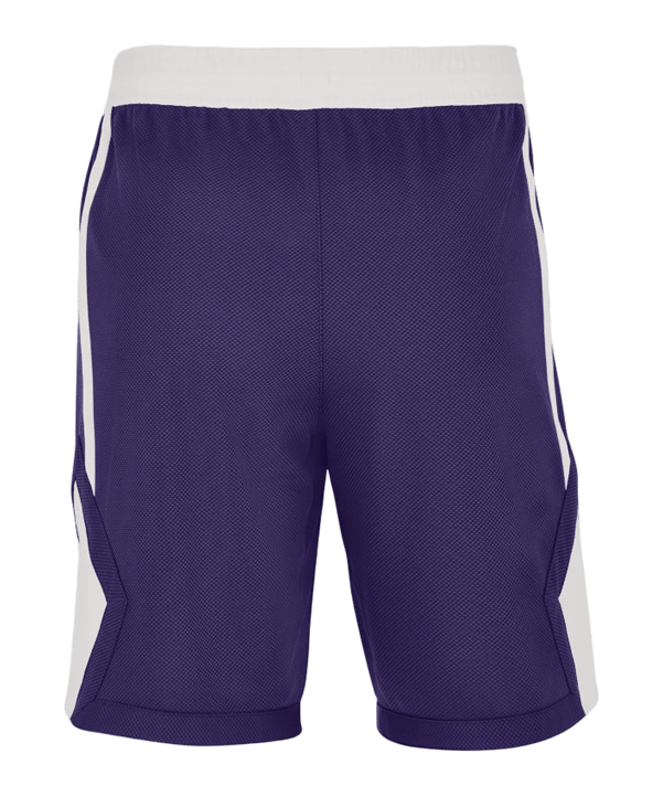 Jordan TM25 Basketball Stock Pantaloncini Viola C547 - lilla
