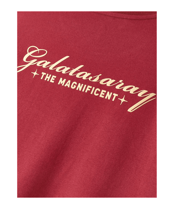 Galatasaray Istanbul T-Shirt Rot