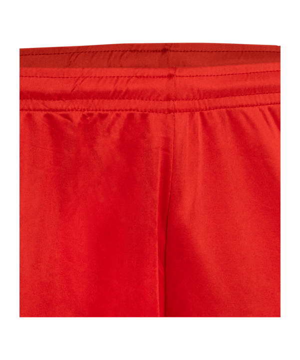 Derbystar Basic Hose Rot F300 - rot