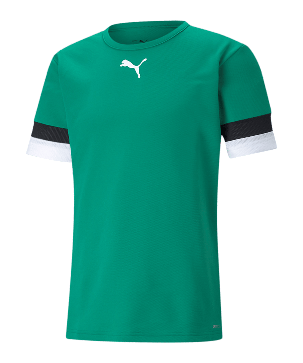 PUMA teamRISE Trikot Grün F05 - gruen